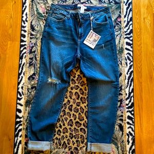 Cello Jeans Plus dark wash crop